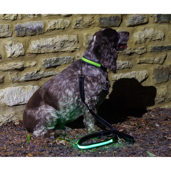 Green LED Light up Dog Lead