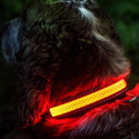 Pink LED Light up Pet Collar | Safe & Visible