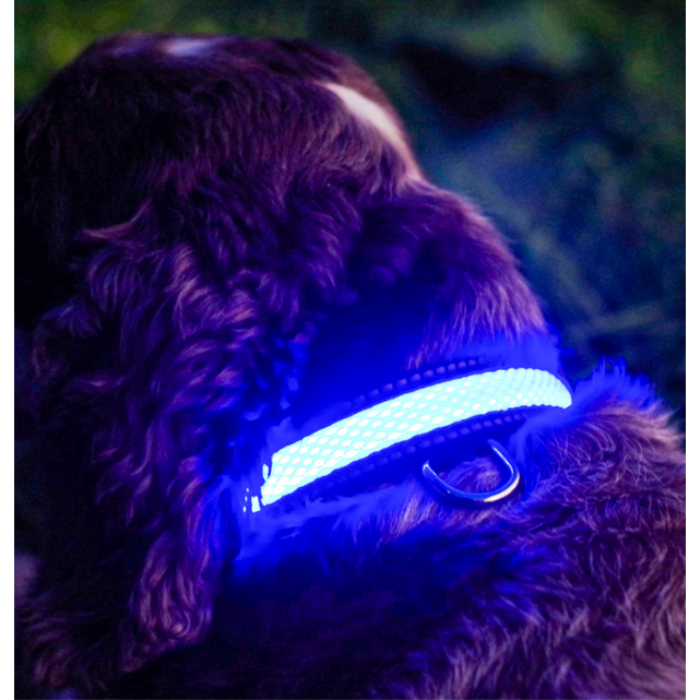 Lighted dog collars deals
